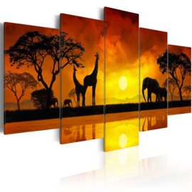 528 Afrika Giraffe Olifant