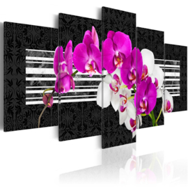214 Modern Wit Paars Orchidee
