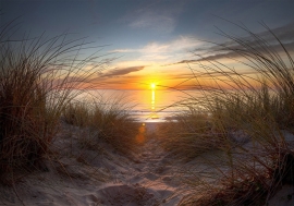 Duinen Sunset nr48