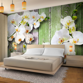 Hout Orchidee nr 138