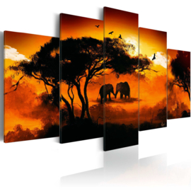 901 Afrika Natuur Olifant