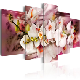 154 Modern Roze Wit Orchidee