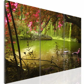 nr 59 Waterval Natuur