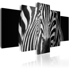 619 Zwart Wit Zebra