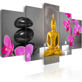 793 Gouden Buddha Orchidee