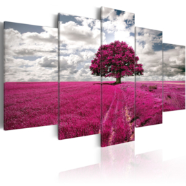 751 Lavendel Veld Roze Boom