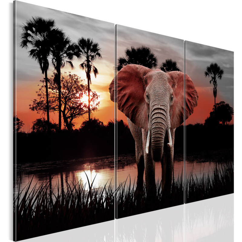 nr 32 Afrika Olifant | Luik Canvas 80x130cm | Canvasxxlshop