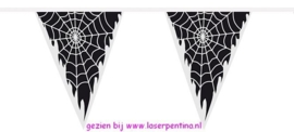 Vlaggenlijn Spinnenweb