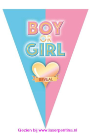 Vlaggenlijn Boy or Girl Reveal