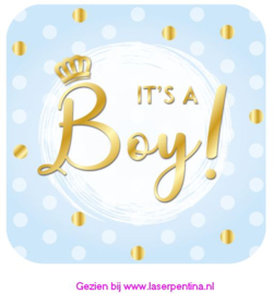 Huldeschild Special  "It's a Boy"