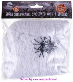 Spinnenweb  met 4 Spinnen