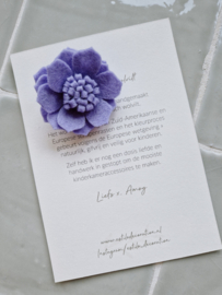 Blossom lila