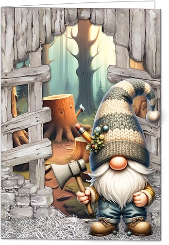 GNOES ADVENTURES 01