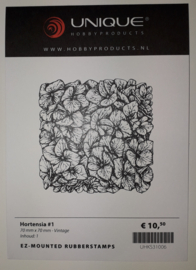 UHKS31006 HORTENSIA  #1