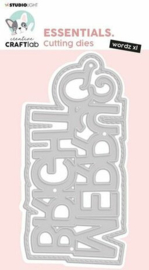 CCL-ES-CD687 MERRY & BRIGHT WORDZ XL
