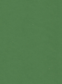 PE-12077-7713 groen parchment