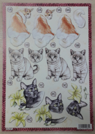 UITDRUKVELLEN KATTEN LINE 621