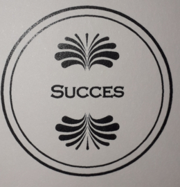 TEXTUHKS30411 SUCCES