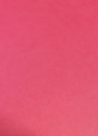 GL-100-9803-A4 donker roze glad