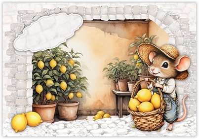 MICE PARADISE PAKKET 01