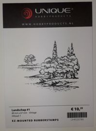 UHKS30789 LANDSCHAP #1