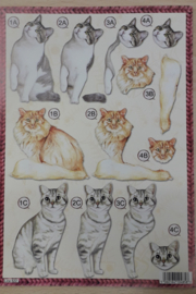 UITDRUKVELLEN KATTEN LINE 622