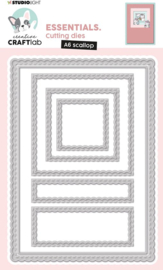 CCL-ES-CD425 A6 SCALLOP