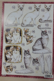 UITDRUKVELLEN KATTEN LINE 620