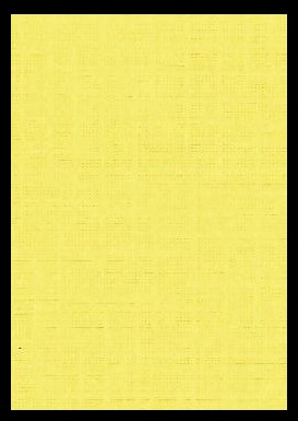 11-LI-9728-A4  geel linnenpersing
