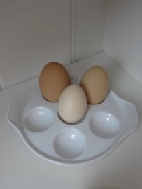 Schaaltje voor de eieren