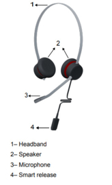 Avaya L149 Headset - Hoofdband  Zwart - Quick Connect kabel