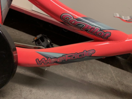 Weerider Co-Pilot aanhangfiets Roze/zwart, 20 inch wiel