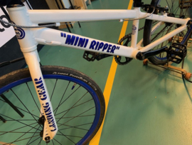 SE BIKES Mini Ripper, 20 inch Wedstrijd BMX, Wit/Blauw, Zeer Mooi