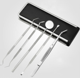 Professionele 6-delige RVS tandarts instrumentset.