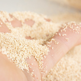 Terra Della Corn Sand - Beige - 8L