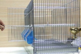 Broedkooi - Kweekkooi Cova 3 -- 2 stuks