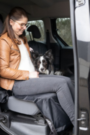 Beschermdeken voor auto Coda Achterbank Zwart