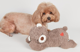 Knuffelbeer met hartslag