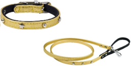 Starpet  mini Gold Halsband & Lijn