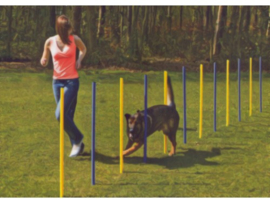 Agility Slalom set 6 palen