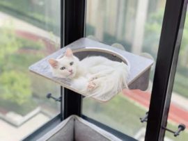 Raambed Bowl  Joycat