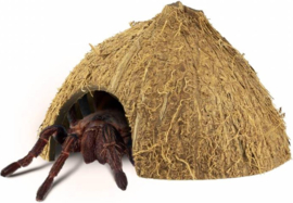 Back Zoo Nature Coco Hiding Cave
