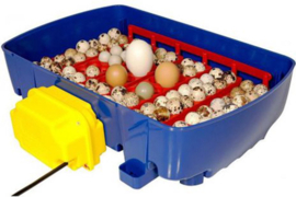 AUTOMATISCHE BROEDMACHINE REAL 24