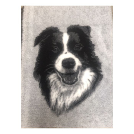 Vet Bed Border Collie Kop anti-slip vanaf