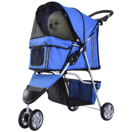 Buggy 3wieler Blauw