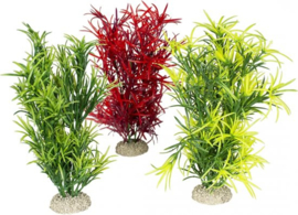 Plant hydrilla Gemengde kleuren L - height 27cm