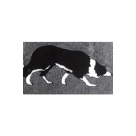 Vet Bed  Border Collie   anti-slip  vanaf