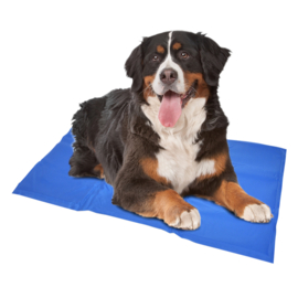 Duvo+ Koelmat Hond - Blauw - XXL - 120 x 80 cm