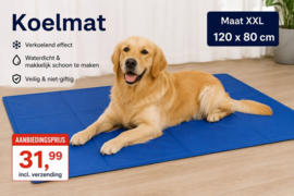 Duvo+ Koelmat Hond - Blauw - XXL - 120 x 80 cm