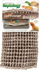 Lizzard Lounger Bridge